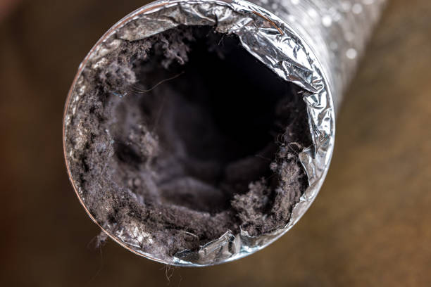 Best Ductwork Cleaning Services  in Westover, WV