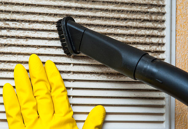 Best Air Duct Mold Removal  in Westover, WV